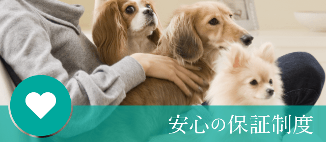 安心の保証制度｜ペットショップつくばビークラブ