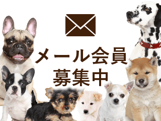 メール会員募集｜ペットショップつくばビークラブ