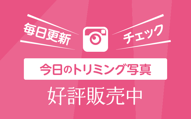 トリミング写真｜ペットショップつくばビークラブ