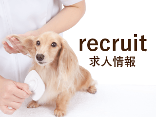 求人情報｜ペットショップつくばビークラブ