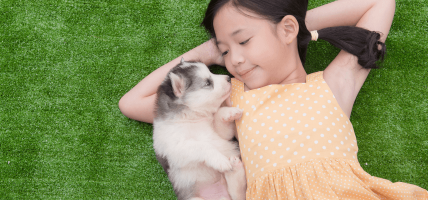 初めて犬を飼う方へ